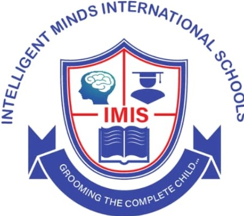 INTELLIGENT MINDS INTERNATIONAL SCHOOLS logo